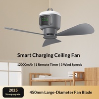 Ventilateur de plafond portable d'extérieur avec télécommande, rechargeable 12000 mAh, autonomie longue durée, 4 vitesses, 8 modes de minuterie