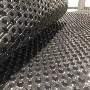 Nhựa HDPE thoát nước lớp Hội Đồng Quản trị cho màu xanh lá cây mái hệ thống - Product Image 4