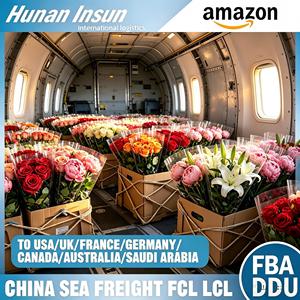 Transporte Aéreo de Flores Frescas en Cadena de Frío, de Kunming, China a AKL, <span class=keywords><strong>Nueva</strong></span> <span class=keywords><strong>Zelanda</strong></span>, Llegada Rápida en 48H, Servicio Profesional al <span class=keywords><strong>Aeropuerto</strong></span> - Product Image 2