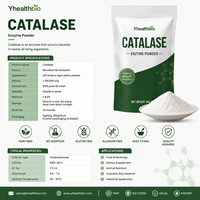 Poudre d'enzyme catalase de qualité alimentaire, poudre de catalase naturelle, activité stable, additif alimentaire industriel, poudre de catalase