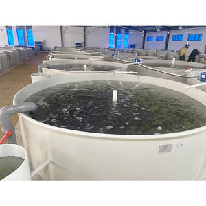 Système de culture de poisson tilapia, poissons, haute efficacité, commercial, recirculation, <span class=keywords><strong>prix</strong></span> d'usine - Product Image 1