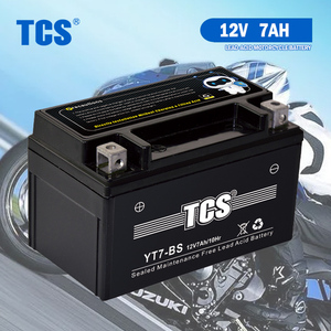 TCS YT7-BS Ventilregulierte Blei-Säure-Versiegelte Trolling-Motor-Batterie - Product Image 1