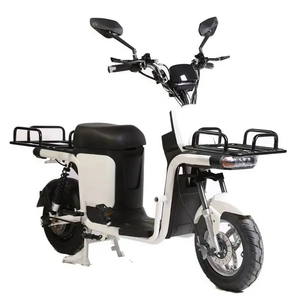 Vélo cargo électrique à grande vitesse 1000w <span class=keywords><strong>2</strong></span> <span class=keywords><strong>places</strong></span> avec <span class=keywords><strong>roues</strong></span> de livraison 300-10 pneus antidérapants <span class=keywords><strong>moto</strong></span> électrique - Product Image 5