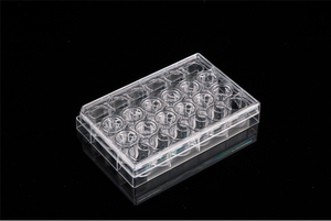 <span class=keywords><strong>Plaque</strong></span> <span class=keywords><strong>de</strong></span> 24 puits compatible PC Membrane Transwell Inserts <span class=keywords><strong>de</strong></span> culture cellulaire avec <span class=keywords><strong>fond</strong></span> plat pour une culture optimale - Product Image 2