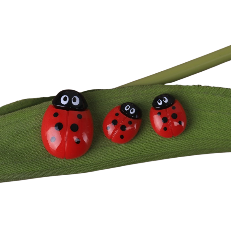 Coccinella grande e colorata