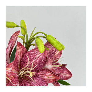 QYYM-515 7 Cabezas de Magnolia Qianxi, Flor Artificial de Navidad de Alta Calidad, Decoración Hecha a Mano para Ocasiones de Graduación - Product Image 3