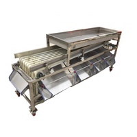 Automatische roestvrijstalen fruit- en groentesorteermachine voor noten en aardbeien met 3-7 sorteerstanden, capaciteit 1000 kg/uur