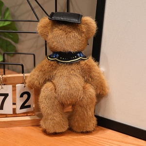Oso de Peluche Personalizable con Logotipo, Oso Doctor Súper Suave, Peluche de Graduación, Algodón PP, Título de Maestría - Product Image 3