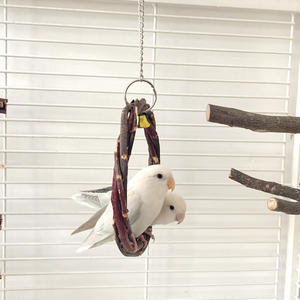 Jouet pour oiseaux perroquets en <span class=keywords><strong>bois</strong></span>, <span class=keywords><strong>anneau</strong></span> suspendu en forme de boule, longue durée, pour mâcher les fleurs, soulager l'ennui - Product Image 2