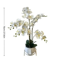 Lot de fleurs d'orchidées Phalaenopsis artificielles réalistes faites à la main, en plastique, de luxe, pour la décoration intérieure moderne et la décoration de la maison