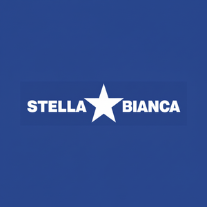 Stella bianca HSS rotativo Cutter Art. 25 Fig.43 modello di Router ovale in legno 0250432 - Product Image 1