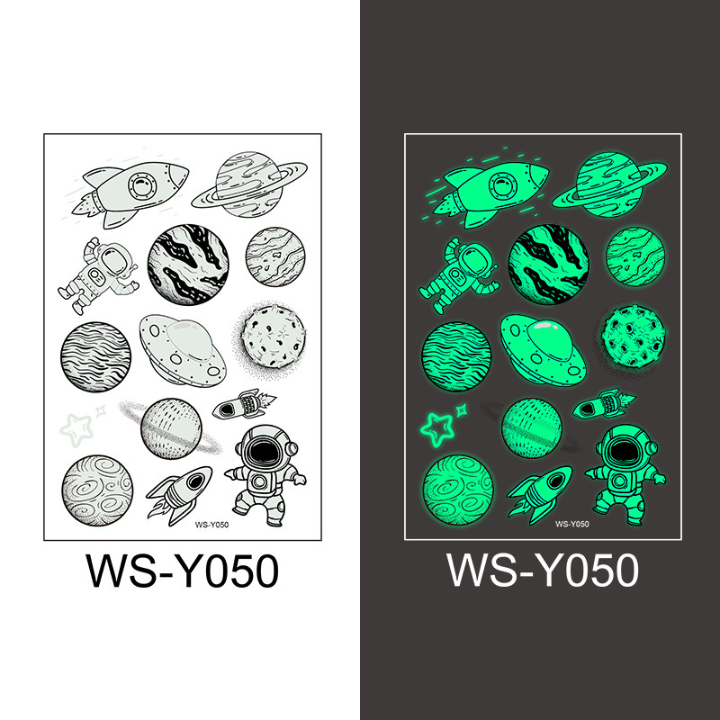 WS-Y050