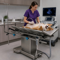 Table d'opération vétérinaire XY ACS03 avec construction en acier inoxydable durable, base stable et service OEM ODM