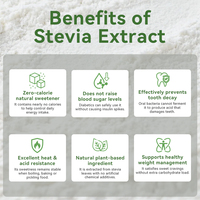 Poudre d'extrait de Stévia de qualité alimentaire en gros, Glycosides de Stéviol RA98%, Édulcorant naturel zéro calorie, Fût de 25 kg pour boissons