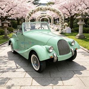 Coche eléctrico vintage verde claro personalizado con batería de litio, tracción trasera, homologado para circular por carretera, ideal para fotografía de bodas, viajes a complejos turísticos. - Product Image 6
