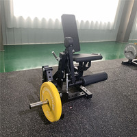Machine de musculation professionnelle nouvelle conception pour usage commercial – Extension/Flexion des jambes – Équipement de gym pour entraînement de force