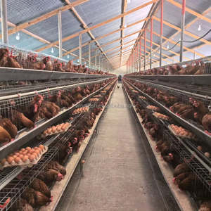 Jaula para <span class=keywords><strong>Gallinas</strong></span> Ponedoras <span class=keywords><strong>de</strong></span> 4 Niveles con Capacidad para 128 <span class=keywords><strong>Gallinas</strong></span>, Cría <span class=keywords><strong>de</strong></span> Aves <span class=keywords><strong>de</strong></span> Corral, Nueva con 5 Años <span class=keywords><strong>de</strong></span> Garantía, Precio Competitivo - Product Image 1