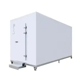 Passeggiata modulare in sala frigorifera freezer freezer per la conservazione e il congelamento della carne di frutta
