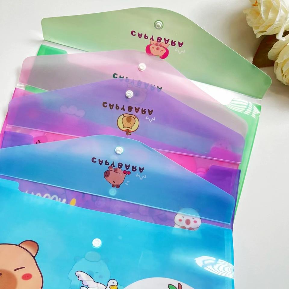 12 Pieces Capybara Cartoon A4 Clip File PVC Transparent Test Paper ...