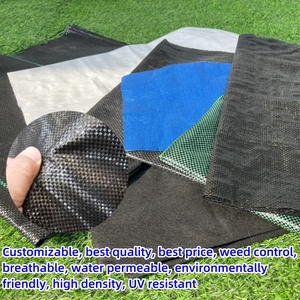 Tessuto Agricolo in Plastica Intrecciata per Controllo Erbacce, Telo Geotessile per <span class=keywords><strong>Aiuole</strong></span> e Barriera per Vialetti - Product Image 6