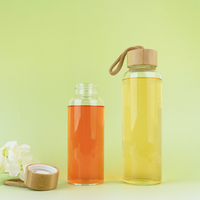 Bouteille d'eau en verre borosilicate incassable sans BPA de 16 oz et 34 oz avec poignée de randonnée et couvercle pour le camping et les activités de plein air – Offre Spéciale