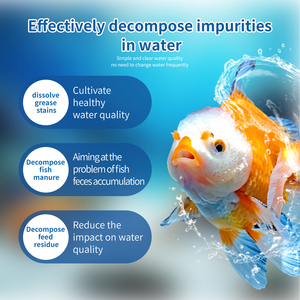 Aquarium étang eau nettoyer Aquaculture soins de santé traitement des maladies du poisson antibactérien infection fongique accessoire de tache blanche - Product Image 4