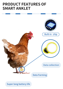 F-004 Nieuwe RFID-duivenring, kippen-, eenden- en ganzenpootring, pootlabel voor duiven - Product Image 3