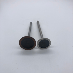 วาล์วไอดีวาล์วเครื่องยนต์ร้อนวาล์วไอเสียสำหรับ N52 BMW <span class=keywords><strong>N52B30</strong></span> 3.0L N52B25 2.5L 11347553771 11347553772 11347539919 11347553774 - Product Image 2