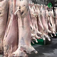 Carcasse d'agneau entière congelée Halal, viande d'agneau congelée en gros