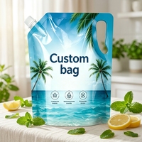 Pochettes personnalisées imprimées de 500 ml, 1 L, 2,5 L pour lessive avec poignée en plastique, sacs d'emballage de détergent liquide verticaux, vente en gros