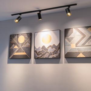 Rail de lumière pour marché européen, spot LED sur rail 9W avec filtre en nid d'abeille, lumière LED sur rail COB - Product Image 2