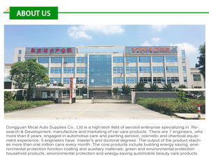 Sprays de nettoyage automobile multi-usages écologiques en gros – Nettoyant puissant pour carburateur, moteur et starter - Product Image 5