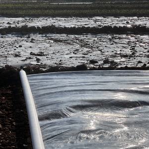 Film de paillage transparent léger, taille personnalisée pour les exploitations agricoles commerciales et les petites exploitations - Product Image 2