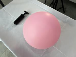 Pelotas de <span class=keywords><strong>Pilates</strong></span> Mini Mate de PVC Antiexplosión de Fábrica Original con Logotipo Personalizado, Pelota de <span class=keywords><strong>Pilates</strong></span> de 20/25 cm con Bomba, Accesorios de <span class=keywords><strong>Pilates</strong></span> - Product Image 4