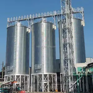 1000/5000/10000 Ton Grain Silo Grain Bin Maíz Café Grano Acero Silo Precio