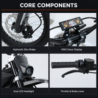 Mini Moto Tout-Terrain Électrique M7 Ultra CE 72V 7000W à Moteur Central, Batterie Lithium 25AH, Roues 17-14 Pouces, Enduro Jeunesse, Fournisseur Grossiste d'Usine