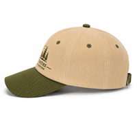 Gorras de Béisbol Deportivas de Algodón Personalizadas de Alta Calidad de Fábrica BSCI, Gorra Deportiva de Pana con Logotipo Bordado al por Mayor OEM
