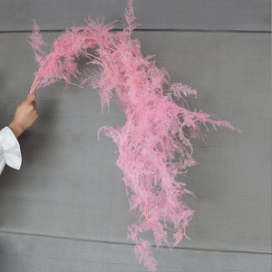 Plantas de helecho <span class=keywords><strong>Ming</strong></span> de alta calidad, hojas de flores secas, flores preservadas, helechos de espárragos para bodas - Product Image 4