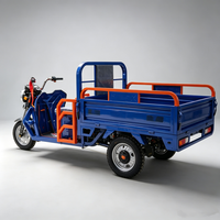Kart électrique tout-terrain 750W 48V pour adultes avec batterie 20Ah, moteur BLDC, transmission par arbre, buggy des dunes, utilisation en extérieur, 70 km/h, charge 200 kg
