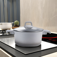 Casserole en aluminium moulé de haute qualité CENTURY 2024, design européen écologique, couvercle en verre, pour cuisinières à gaz et à induction