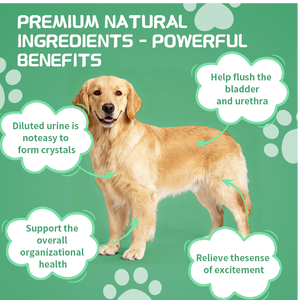 Nhà máy trực tiếp bàng quang cắn mềm nhai bổ sung, Cranberry + d-mannose, bàng quang hỗ trợ, bình thường chức năng thận, số lượng lớn & OEM - Product Image 3