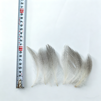 Plumes de canard blanc en gros, plumes de canard de différentes tailles pour la fabrication de mouches artificielles, mouches humides, mouches Spey, leurres pour saumon et truite