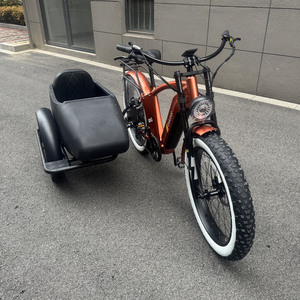 Innovador 48V 600W Electric Pedicab Nuevo vehículo eléctrico de 48V con batería de tubo inferior integrada para adultos - Product Image 2