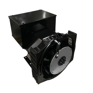 Générateur triphasé à roulement simple 1500 tr/min 50 Hz 27,5 kVA, alternateur sans balais 22 kW, tête de cylindre NF184L-F, NF184L-F 30 kW - Product Image 1