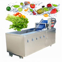Automatische Werk Knoflook En Mango Fruit Mini Appel Zeewier Blad Transportband Groente Wasmachine Bubble Wash Machine