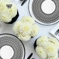 Service de vaisselle en porcelaine en gros, motif noir et blanc porte-bonheur, compatible lave-vaisselle, four et micro-ondes, réutilisable pour table de mariage