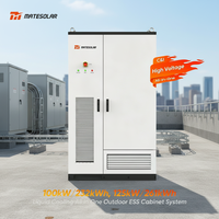 Armoire de stockage d'énergie Mate 100kW 232kW 125kW 261kWh Système de batterie LiFePO4 à refroidissement liquide Protection IP55 Hybride Commercial