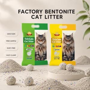 Arena Ecológica para Gatos de Bentonita de Alta Aglutinación, Precio de Fabricante, Suministro al por Mayor - Product Image 1