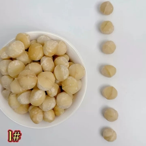 Premium Grade Raw Whole Macadamia <strong>Kernels</strong> 17-20mm Unroasted Unsalted <strong>Nuts</strong> - Product Image 5