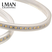 Bande LED pour Décoration de Bâtiment, 120 LED/m, IP65, SMD2835, AC 110V/127V/220V/260V, CRI 80,90, Température de Couleur 2700-6500K, Vente Chaude